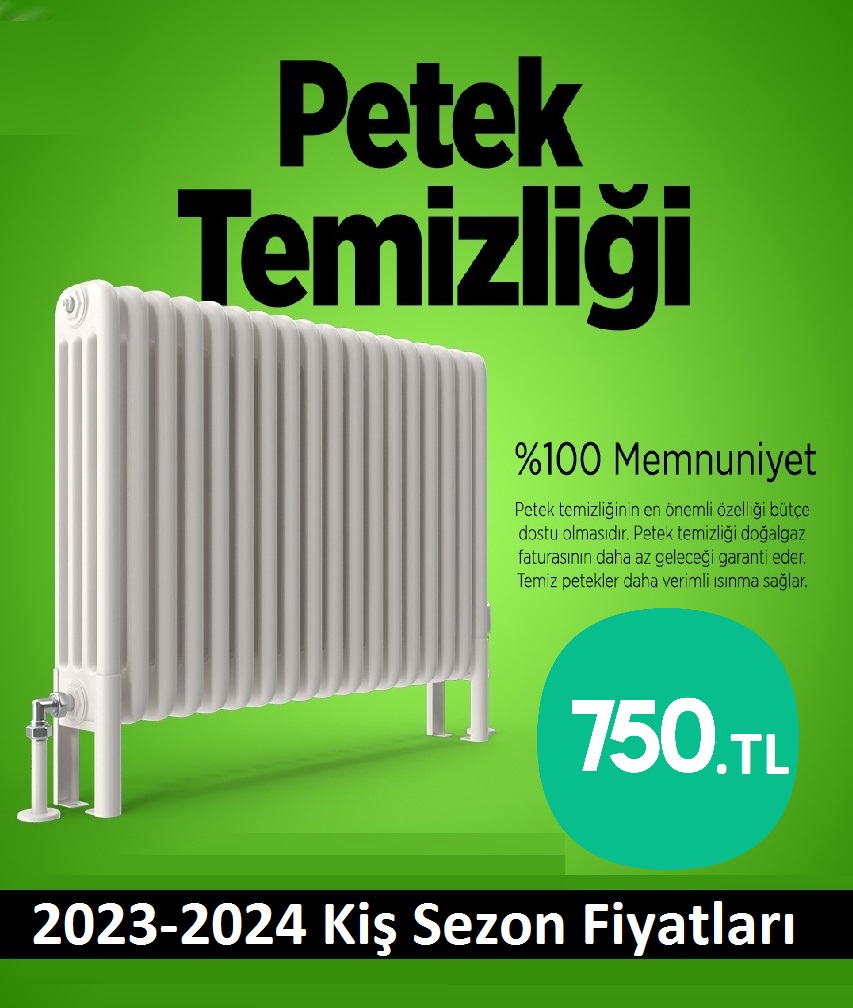 Kocaeli Petek Temizliği Tek Fiyat Teklifi Al